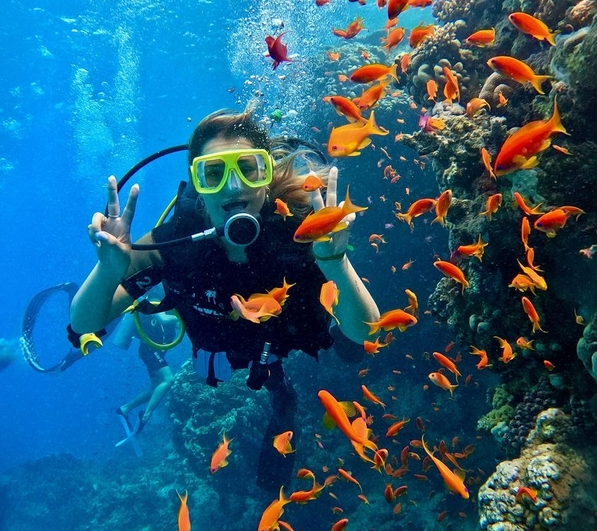 activity category image